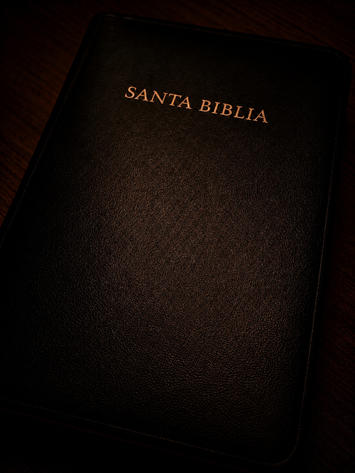 BIBLIA DE ESTUDIO TRADUCCION ESPAÑOL